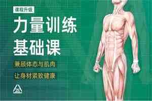 一介粗人x麦大湿《男性力量训练课程》